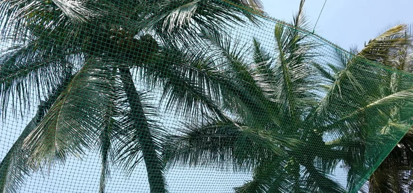 Coconut Safety Nets in Bangalore